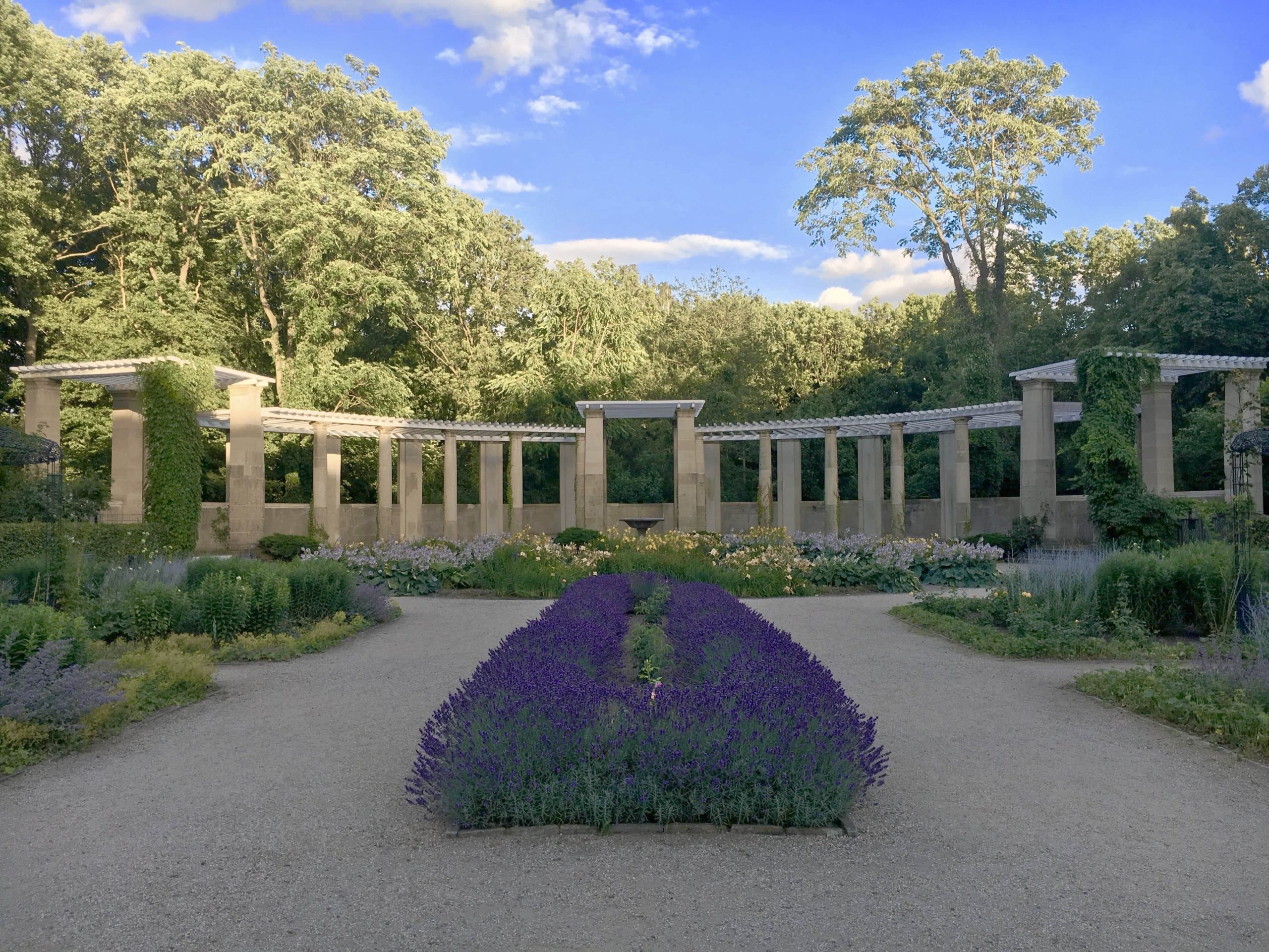 Rosengarten mit Rondell im Hintergrund, 2016
